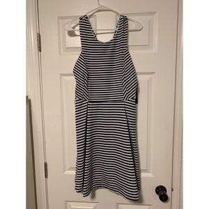 Navy and white dress